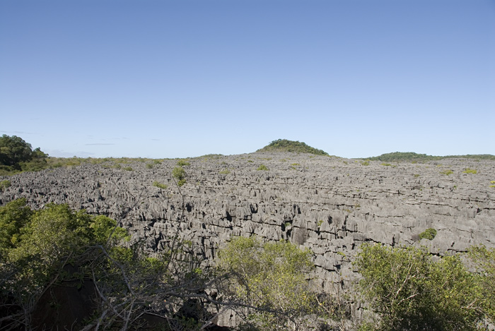 Tsingis in Ankarana