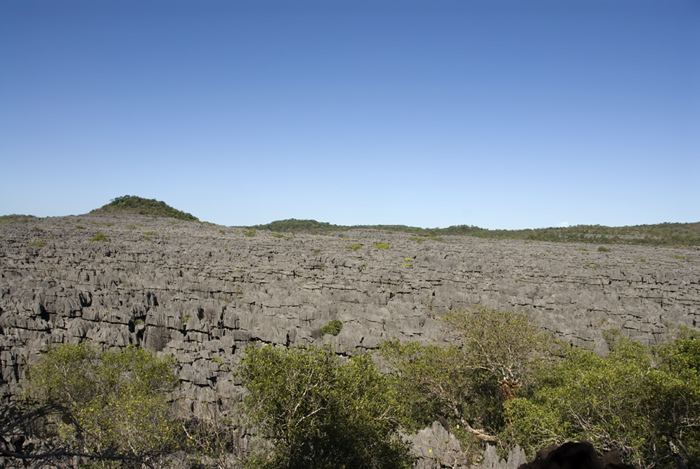 Tsingis in Ankarana