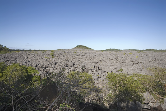 Tsingis in Ankarana