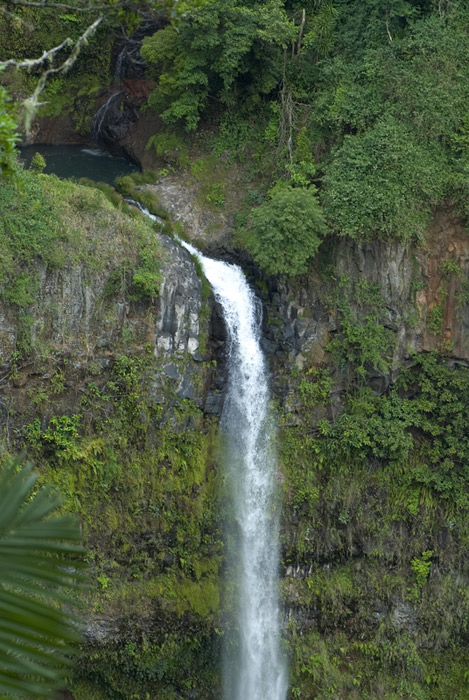 Wasserfall im Regenwald