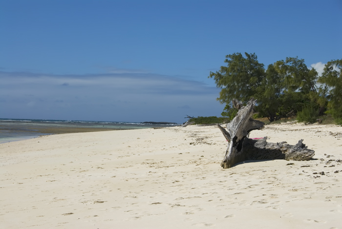 Zum grünen Meer Madagaskar