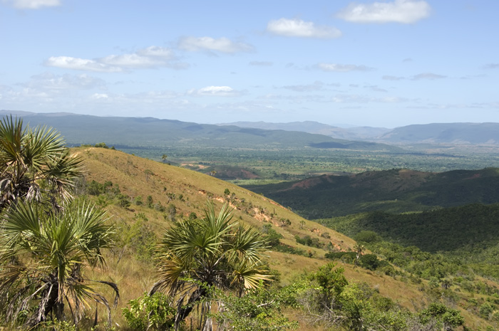 Rote Tsingis Madagaskar