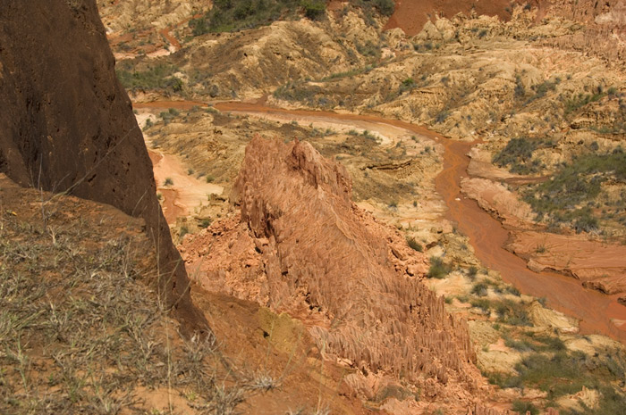 Rote Tsingis Madagaskar