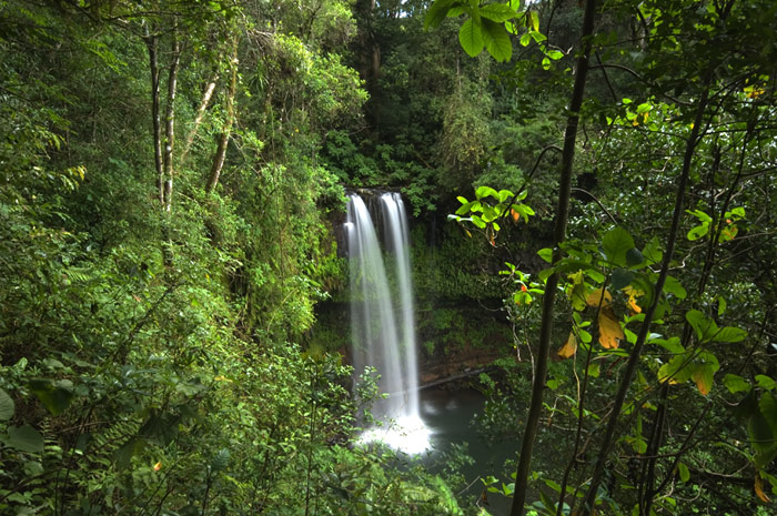 Wasserfall im Regenwald