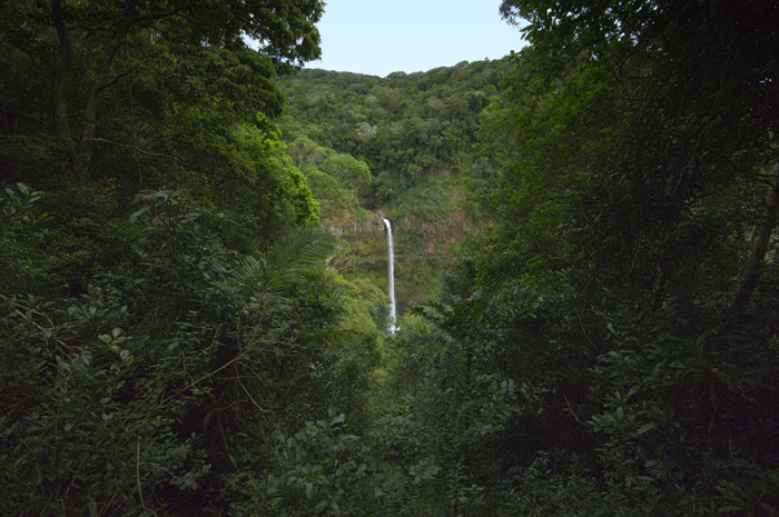 Wasserfall im Regenwald