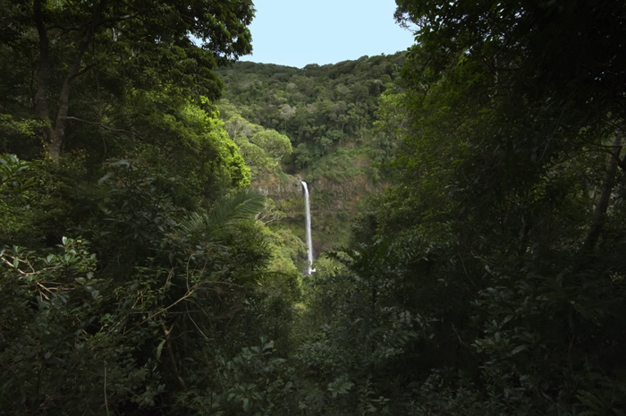 Wasserfall im Regenwald