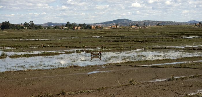 Alltag in Madagaskar