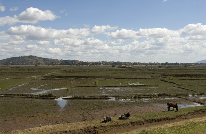 Alltag in Madagaskar