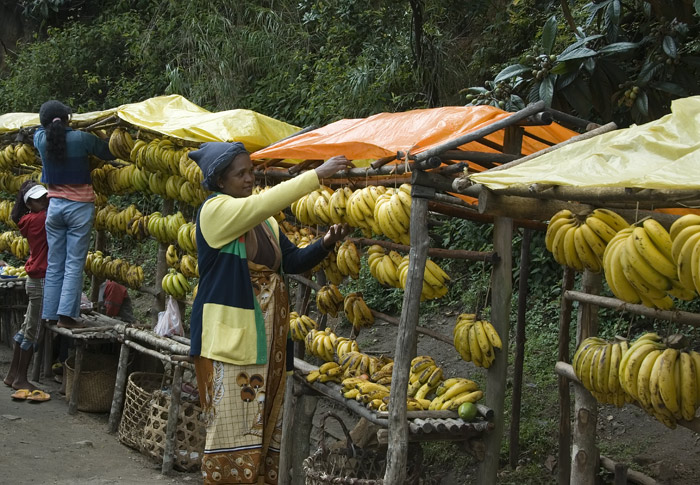 Bananenstände