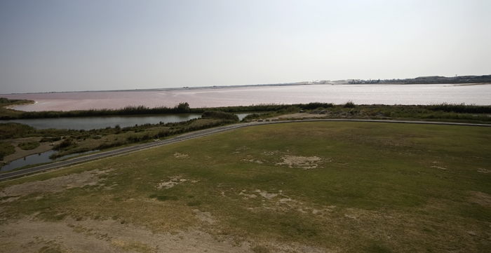 Aigues Mort Camarque Frankreich