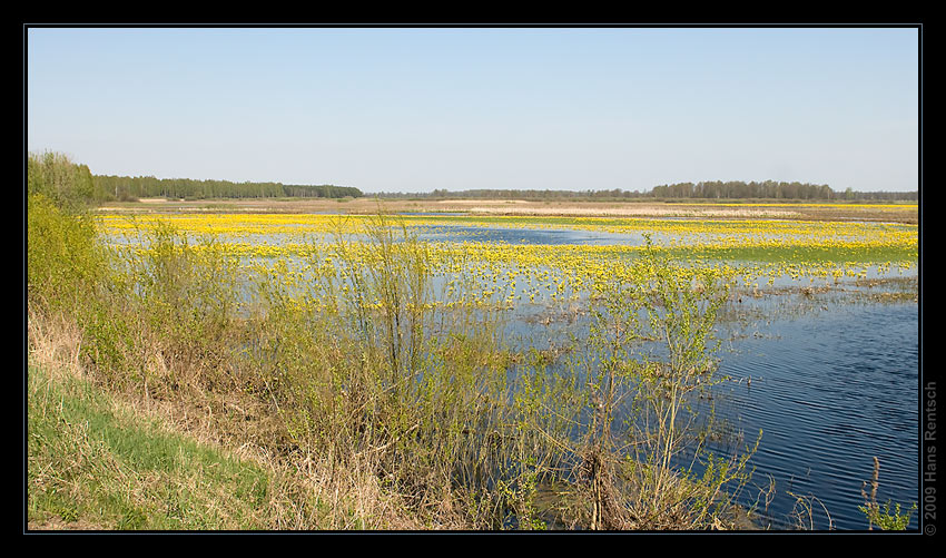 Landschaft