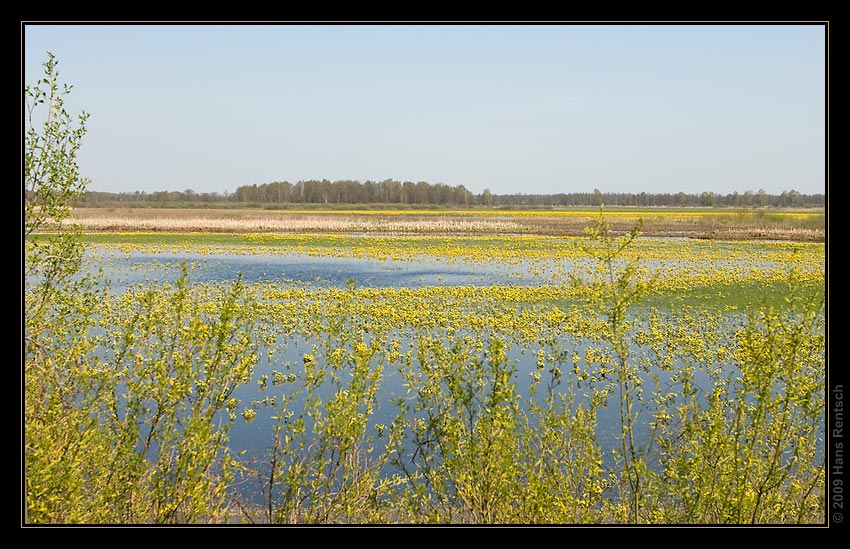 Polen Landschaft