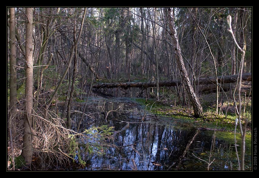 Landschaft