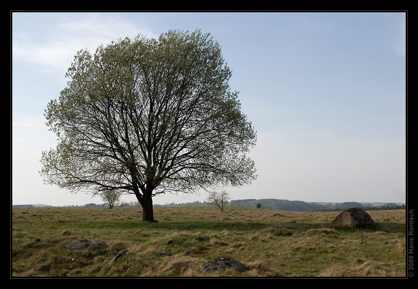 Polens wilder Osten