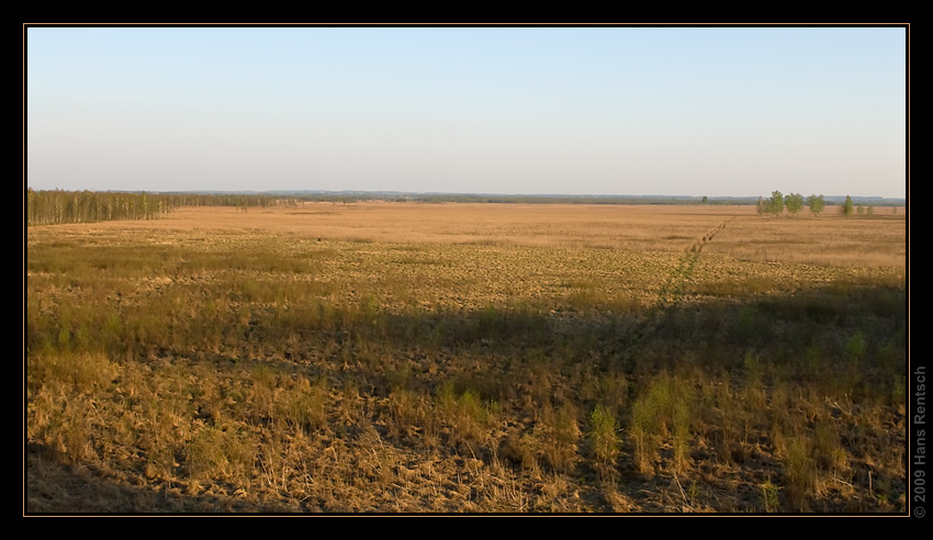 Polnische Landschaft