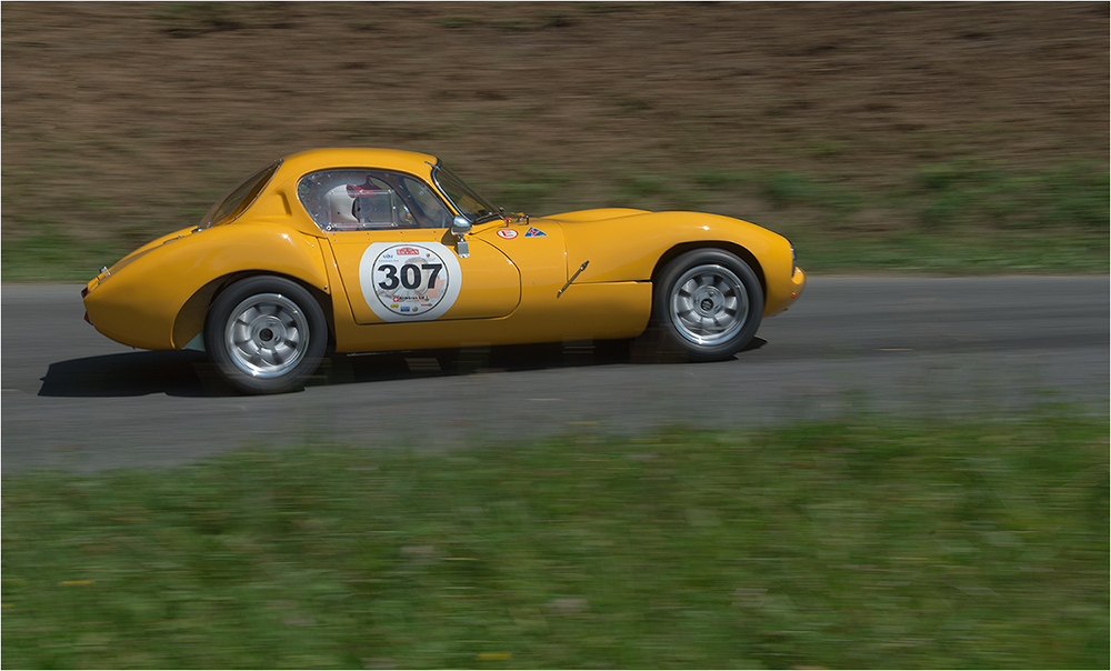 Bergprüfung Altbüron 2013 /Ginetta G 4