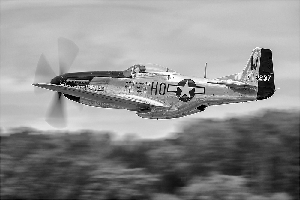 Mustang P51