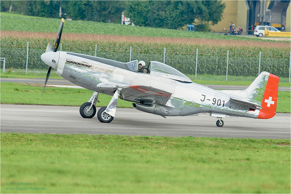 Mustang P-51D