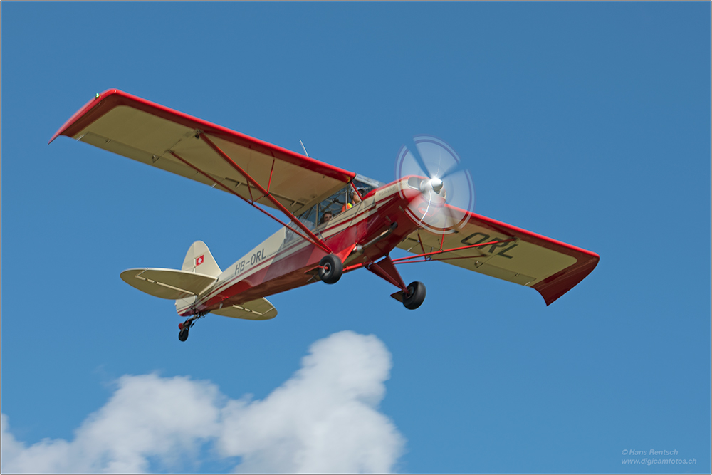 piper-PH-18 super cup