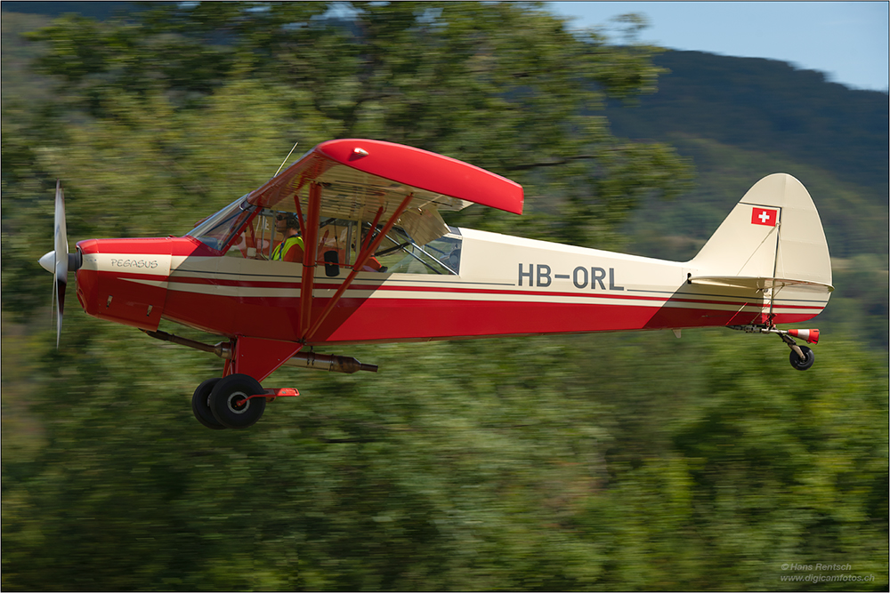 piper-PH-18 super cup