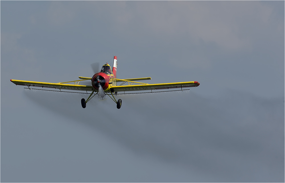 PZL 106 AR Kruk D-FOAB