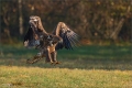 Seeadler