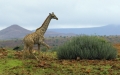 Namibia bei schlechtem Wetter