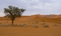 Sossusvlei