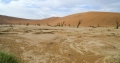 Sossusvlei / Deadvlei