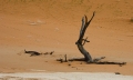 Sossusvlei / Deadvlei