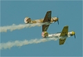 Aerobatic Yakers mit 3 YAK 52TW