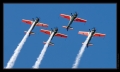 Dittinger Flugtage 2009