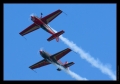 Dittinger Flugtage 2009