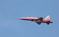 Patrouille Suisse / Flugschau Dittingen 2013