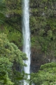 Wasserfall im Regenwald