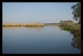 Waniewo am Narew "polnischer Amazonas"