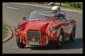 Bergprüfung historischer Sport & Rennwagen in Altbüron 2009